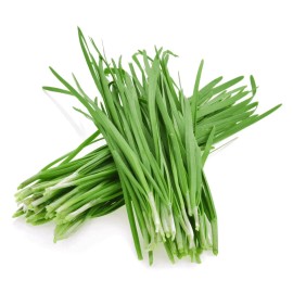 GARDEN SEEDS 50gram / 10000pcs+ Chinese Chives Seeds, Chinese Leek Seeds 韭菜种子