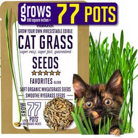 CAT Grass Seeds Favorites Blend Grows *77* Pots of Fresh & Delicious Cat Grass for Indoor Cats - Easy! Fast! Over 28,000 Tender Organic Wheatgrass and Smooth Ryegrass Seeds | Cat Rescue Bulk Pack