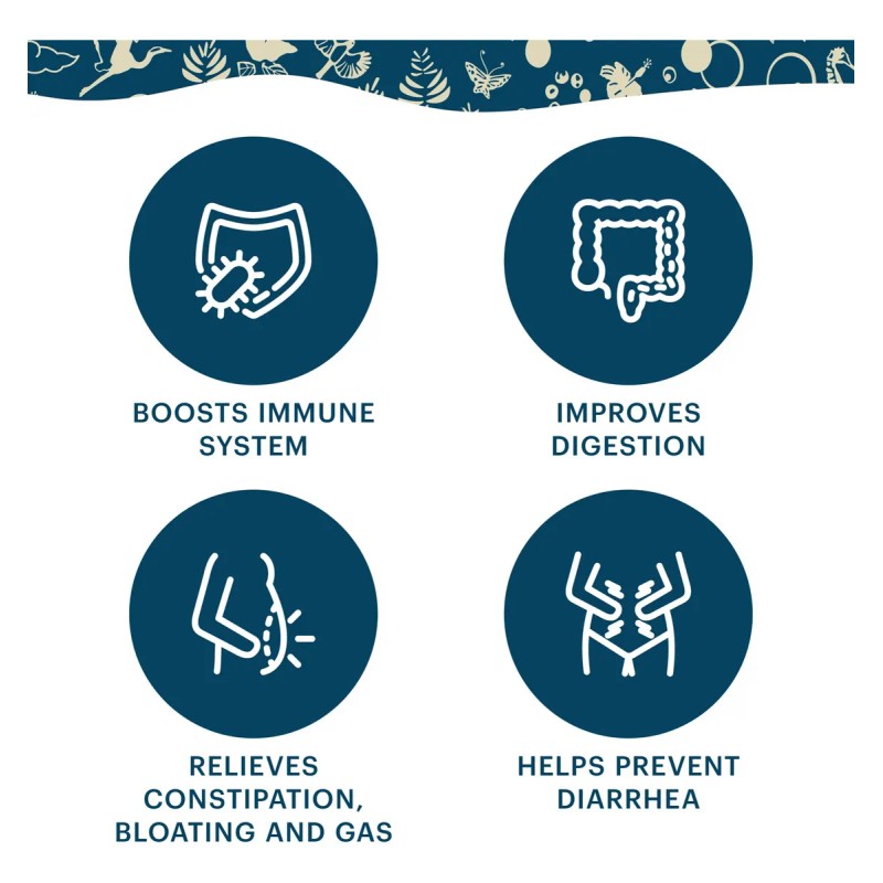 Teraganix Probiótico Líquido Orgánico 16 Fl Oz 30 Días