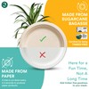 Eco Soul 9 Inch Round Paper Plates [Pack of 50]