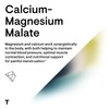 THORNE Thorne Calcium-Magnesium Malate - Gluten-Free Supplement with Magnesium &