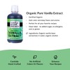 Organic Vanilla Extract | Pure Vanilla Bean Perfect For Cooking