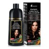 Shampoo Tinte Instantáneo Cubre Canas Natural Jengibre 500ml