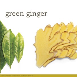 Tazo Green Ginger Tea -- 20 Tea Bags
