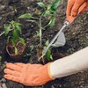 ECENCE Stainless Steel Weeder with Wooden Handle, Manual Weeder for