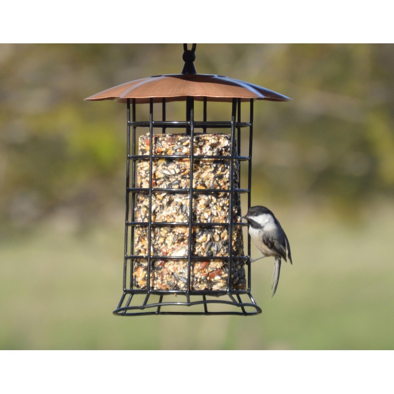 Songbird Essentials Copper Roof Suet Log Feeder