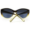 SAMBA SHADES Reader Sunglasses for Women Bifocal for Reading Under