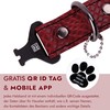 FAVPET Thin Leather Dog Collar with QR Code Pendant, Adjustable