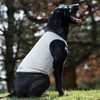 Terrain Dog Cooling Vest - Cooling Fabric Powered by Coolcore