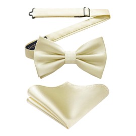 HISDERN Men's Bow Pocket Square Set Plain Pre-Tied Fly Handkerchief for Wedding Party - beige