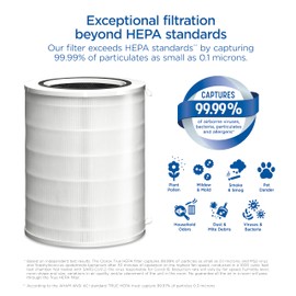 Clorox Ultra Air Purifier True HEPA Replacement Filter, 2,220 Sq. Ft. Capacity, Removes 99.97% of Allergens up to 0.1 Micron, Compatible with 11060, 1 Count (12060)