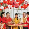 23 PCS Chinese Japanese Paper Lantern and Chinese New Year