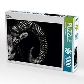 CALVENDO Puzzle Mufflon 1000 Pieces Laying Size 64 x 48 cm Photo Puzzle Image of Kirsten Karius