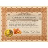 HolidayGiftShops Sterling Silver and Baltic Honey Amber Flat Square Adult