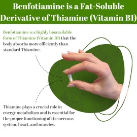 PUREFULLY PUREFULLY Benfotiamine Vitamin B1/Thiamine 100mg, 120 Capsules - High Absorption Energy Support - Gluten Free, Non-GMO, Made in Canada