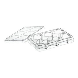 Greiner Bio-One 657160 CELLSTAR Cell Culture Multiwell Plate with Lid, TC Treated, Sterile, Flat Bottom, Chimney Style, 6 Well (Pack of 100)