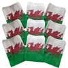 Welsh Flag Design Paper Bag ideal for counter bag, party
