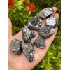 GAF TREASURES 4 oz Elite Noble Shungite – Raw Natural