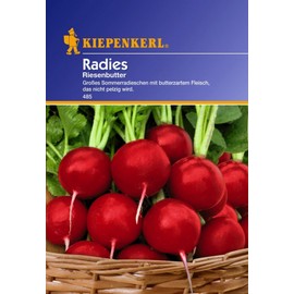 Kiepenkerl Kiepenkerl, Radies Giant Butter