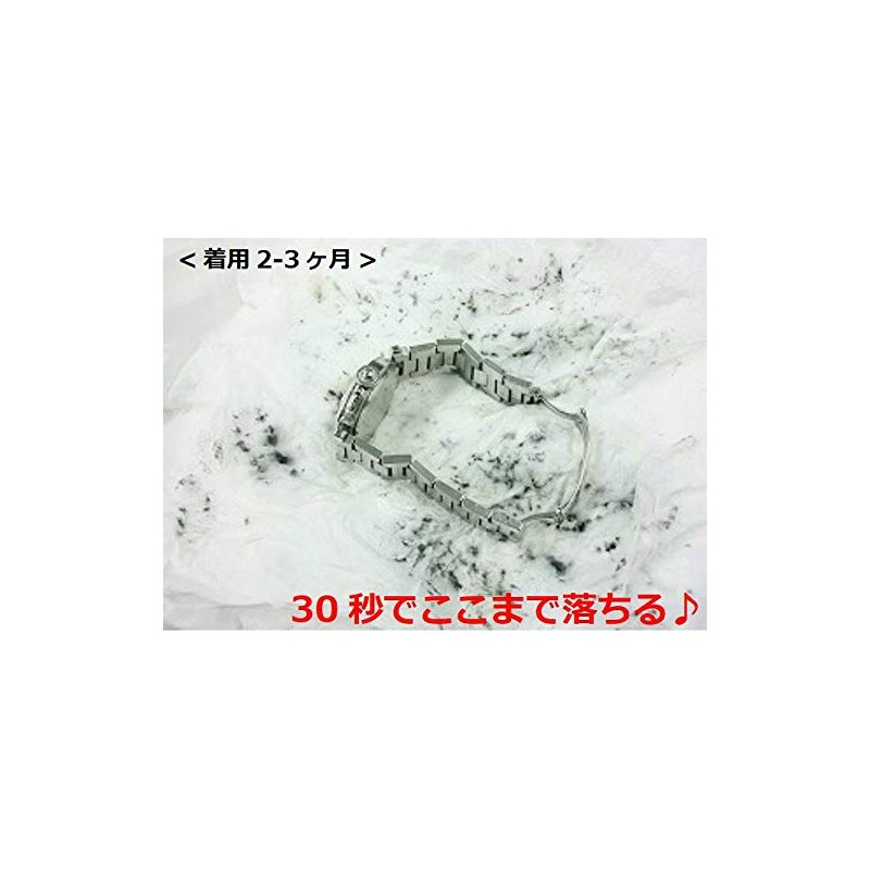 Washing Watch 3.4 fl oz (100 ml) Cleaning Solution for