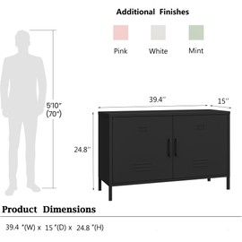 Elitehouse 2 Door Metal Accent Cabinet,Black Metal Storage Cabinet with Adjustable Shelf,2-Tier Office Cabinet,Multipurpose Metal Locker Storage Cabinet for Office Home,Music Studio