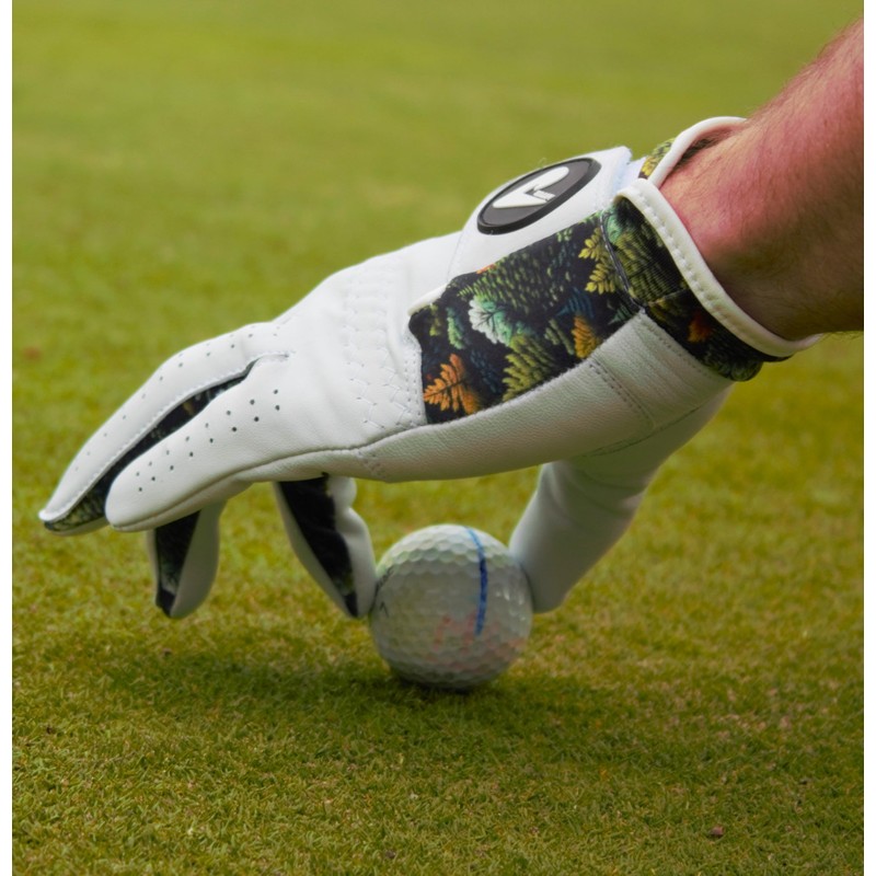 ASTUR Golf Gloves 2 Pack Cabretta Leather Golf Glove Men