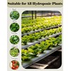 Natural Hydroponic Growing Kit for Soilless & Hydroponic Cultivation -
