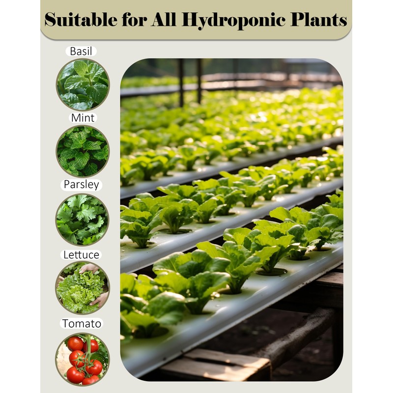 Natural Hydroponic Growing Kit for Soilless & Hydroponic Cultivation -