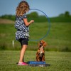 Cato Board - Dog Training Platform (Blue, Rubber Surface)