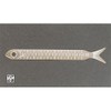 Itoya Delicious Fish Sardine Ruler 3.9 inches (10 cm)