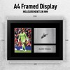 HWC Trading FR A4 Andre Onana Gifts Printed Signed Autograph