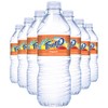 Fruit2o Peach Flavored Water, 16.9 fl oz Plastic Bottles (24
