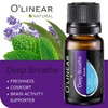 O'linear Essential Oils 6 Blends Set - Perfect for Humidifiers