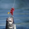 Fishing Lures for Trout | Sinking Sequin Jig Metal Spinner
