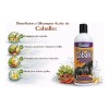 Shampoo Aceite De Caballo Vale Natural 480 Ml Cuidado Capila
