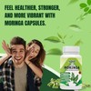 ELEMITO Moringa Capsules, Pure Leaf Powder, Green Superfood, Energy, Metabolism,