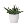 elho Brussels Round Mini 9.5 - Flower Pot for Indoor