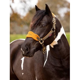 LeMieux Vogue Headcollar & Leadrope - Ember Pony