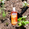 Hollywood Beauty Carrot Hair Oil, 8oz Bottle, Hair, Scalp, Skin,