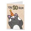 Funny Cat Birthday Card You So Old