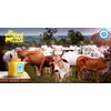 INDICOW A2 Cow GheeCertified (Grass Fed A2 Cows, Paleo and