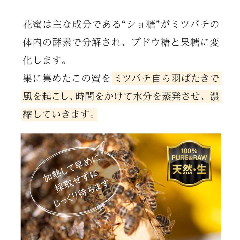 Organic Eucalypte Honey 350 g