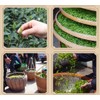 Luxtea Chinese Top10 Famous Tea –Xi Hu Long Jing /