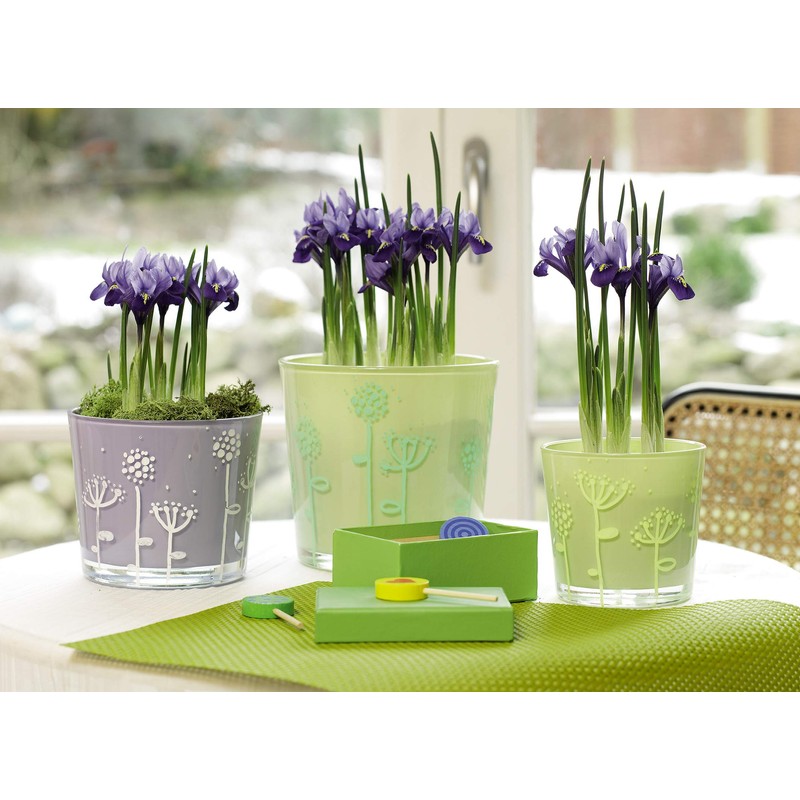 edding 4090 Window Marker, 4-15 mm (Pack of 5, White)