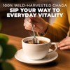 Gya Tea Co Chaga - Polvo de hongos 1 libra