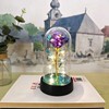 Eternal Rose Gift for Her – Acrylic Rose Display with