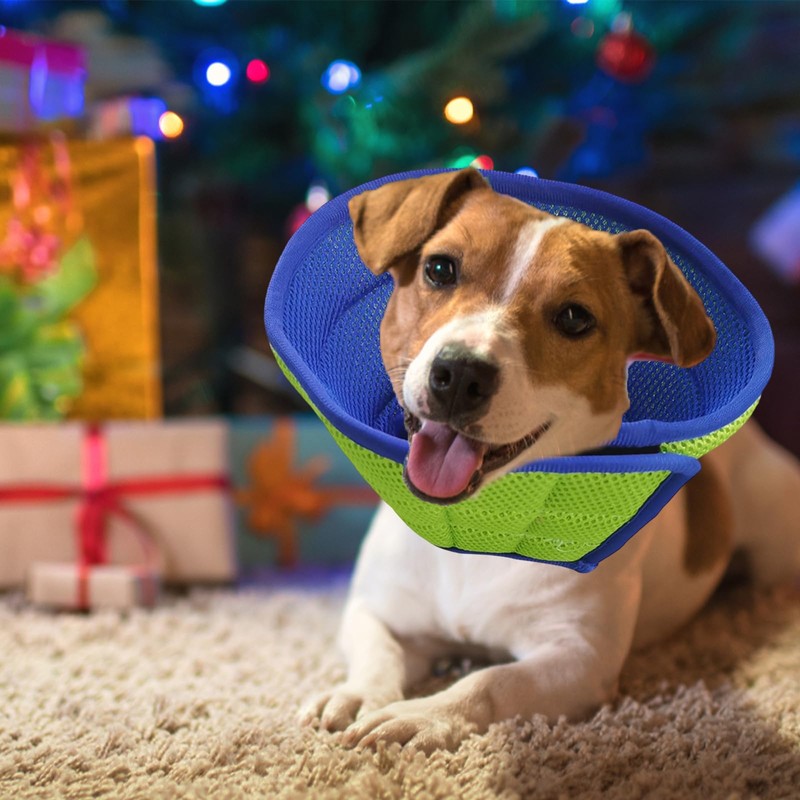 Soft Dog Cone Collar for Dogs After Surgery, Buster Collar,