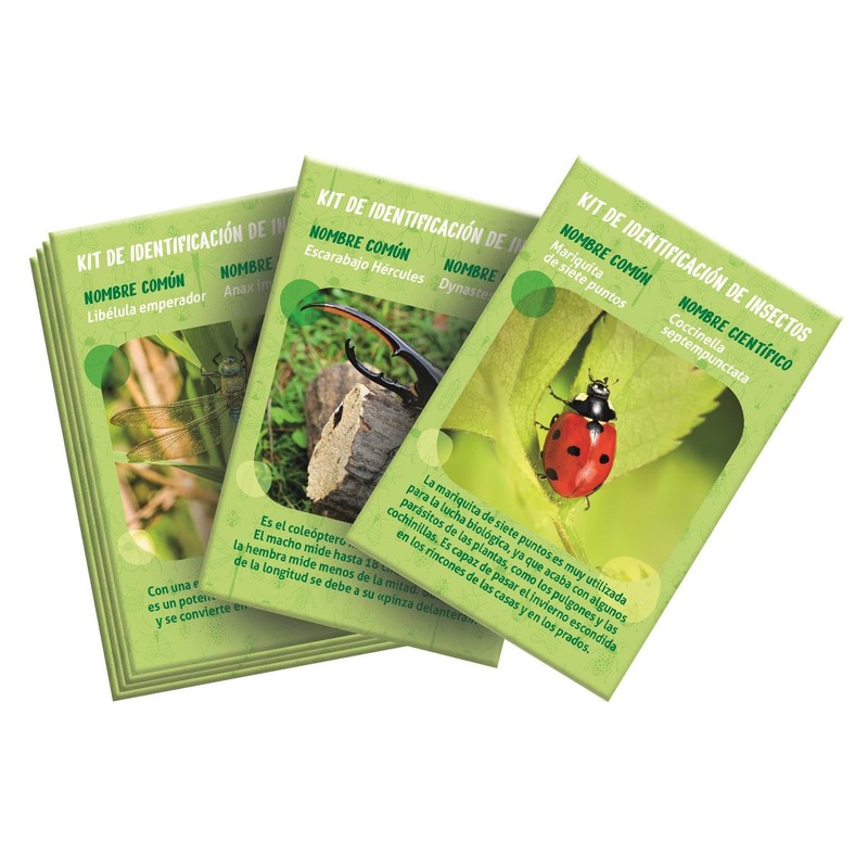 The House of Insects