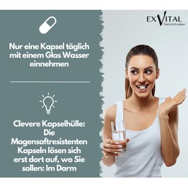 EXVital Flora+ Kulturen Complex with 500 Billion CFU/g - 22 Bacterial Cultures with Acacia Fibre - Effective Intestinal Bacteria, Lactobacillus Salivarius & Bifidobacteria, 120 Vegan Capsules