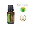 Doterra Semilla De Cilantro (coriander) Doterra 15ml